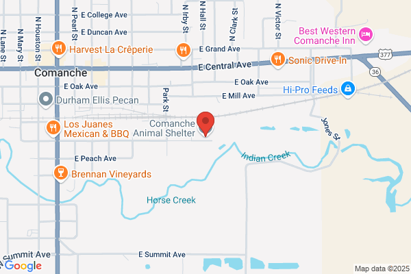 Comanche City of, Animal Shelter
