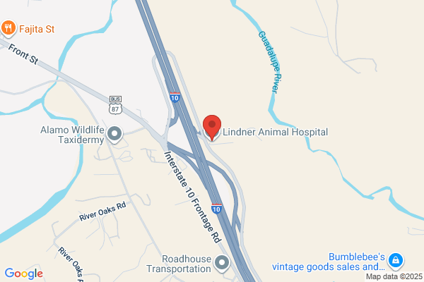 Lindner Animal Hospital