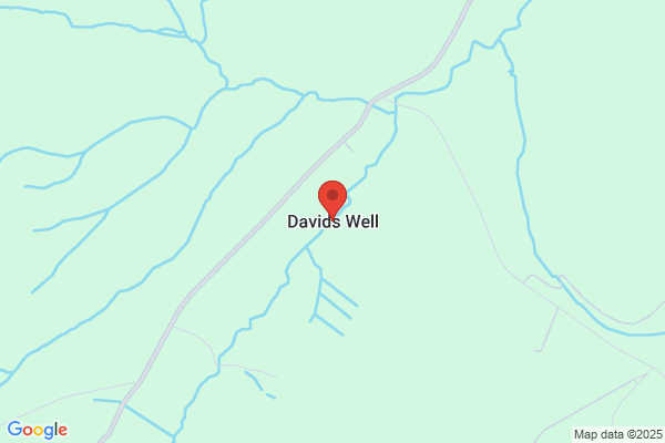 David S. Well, MD