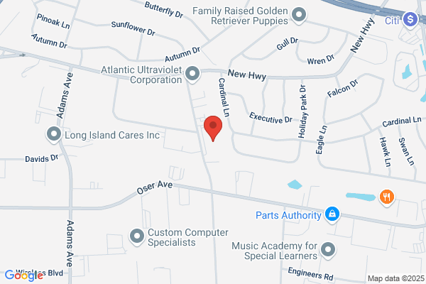 Vetra Systems Inc
