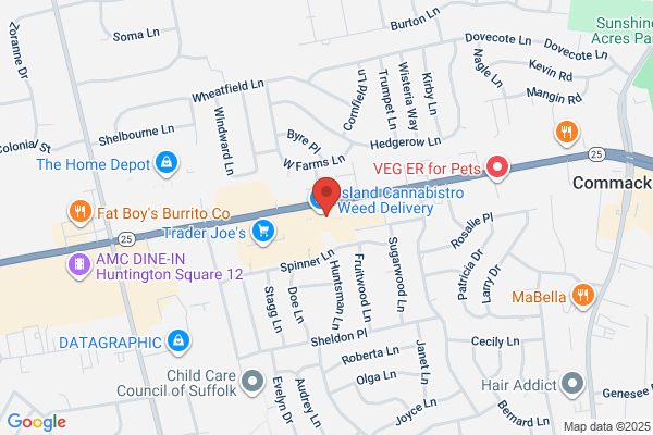 North Suffolk Neurology