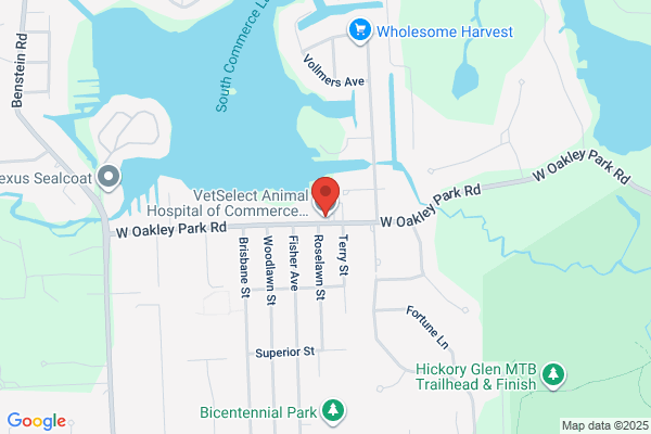 VetSelect Animal Hospital  of Commerce Township