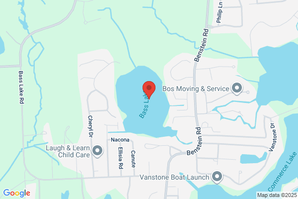 Bass Lake Electric