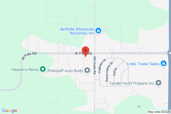 Lil Bear's Dog Walking & Pet Services