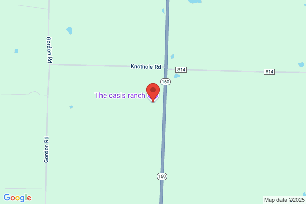 The Oasis