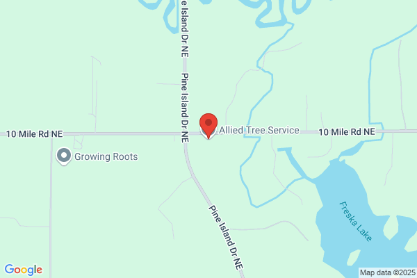 Allied Tree Service