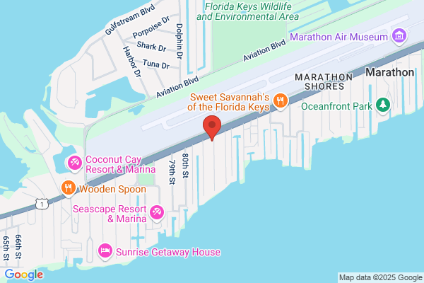 Island Auto Repair