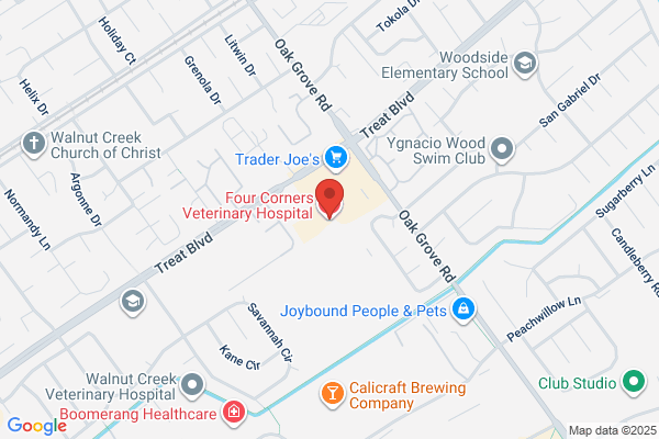 Four Corners Veterinary Hospitals