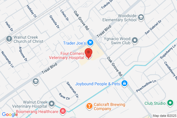 Terry Kubicka - Four Corners Veterinary Hospitals