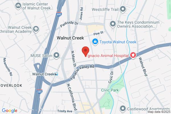 Alignment Services