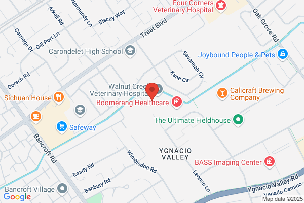 Shadelands Pediatric Dentistry