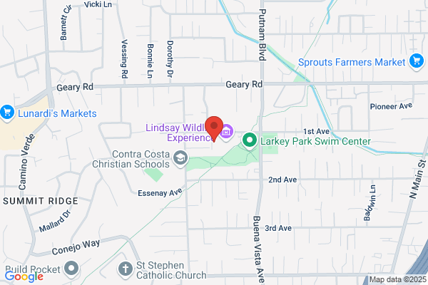 Zelis Bruce P Law Office Of