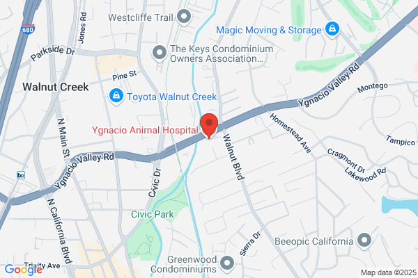 Ygnacio Animal Hospital