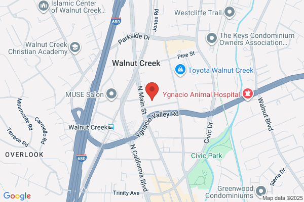 Dirito Brothers Walnut Creek Volkswagen
