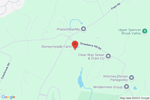 Stoneymeade Pine
