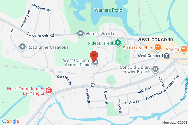 Westcott Anne
