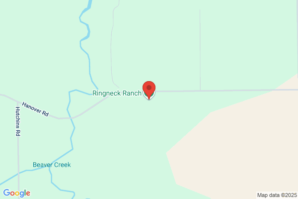 The Ringneck Ranch Llc