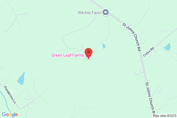 Quail Run Farm