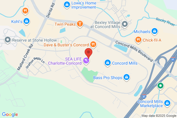 Children's Place Outlet the