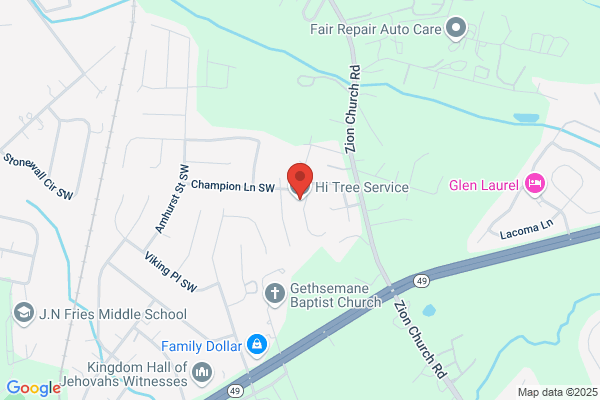 Hi Tree Service
