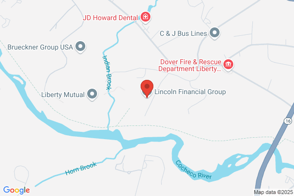 Lincoln Financial Group