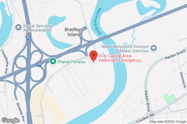 VCA Capital Area Veterinary Emergency and Specialty