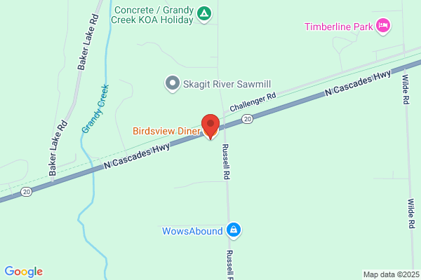 Birdsview Burgers