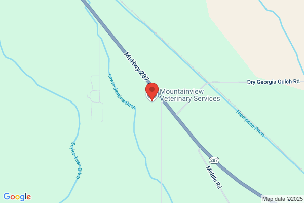 Mountain View Veterinary Clinic