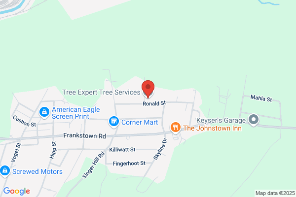 Leckey's Tree Service