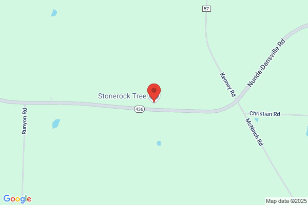 Stonerock Tree, LLC