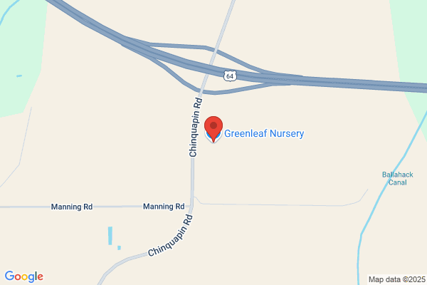 Greenleaf Nursery Company