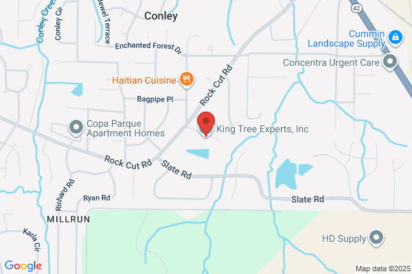King Tree Experts, Inc.