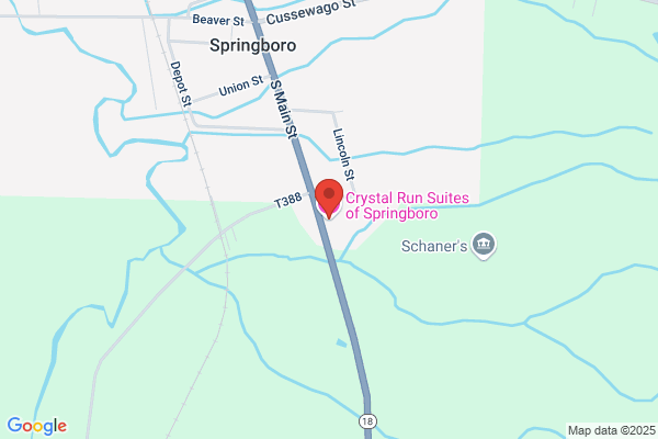 Springboro Inn