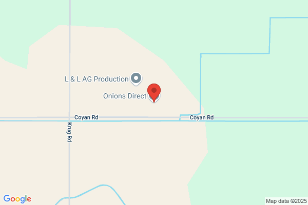 Onions Direct