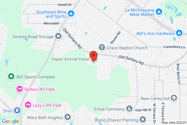 Ace Septic & Plumbing Co