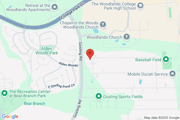 Tree doctor Houston