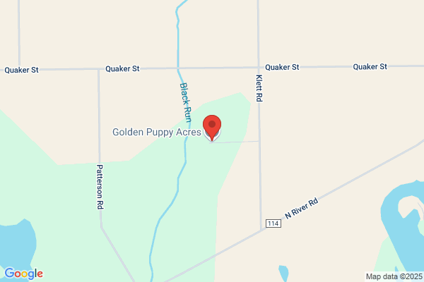 Steppenwolf Kennels