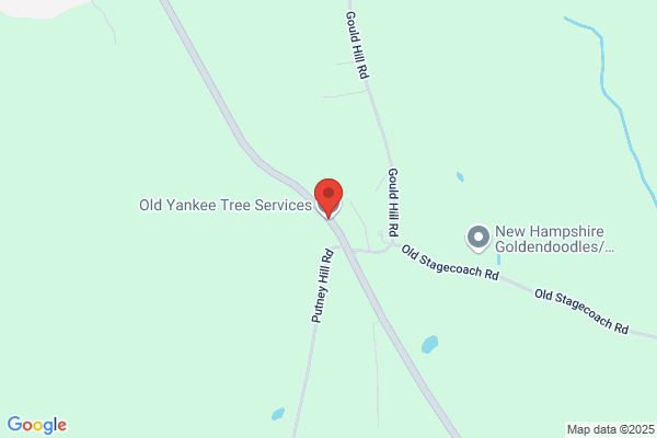 Old Yankee Tree Service