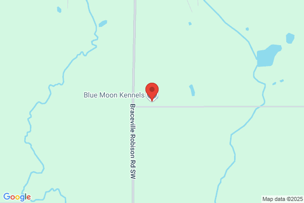 Blue Moon Kennel