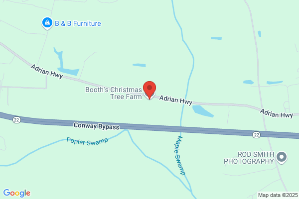 Booth's Christmas Tree Farm