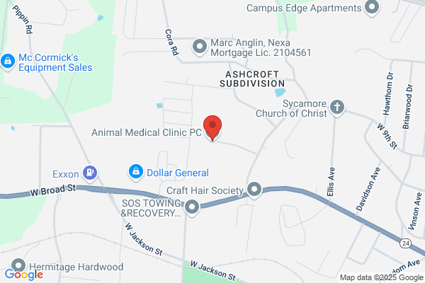 Animal Medical Clinic
