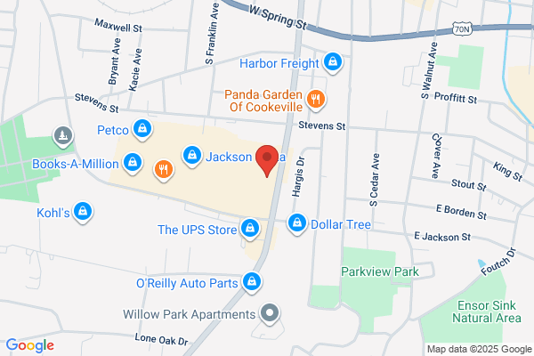 Advance Auto Parts