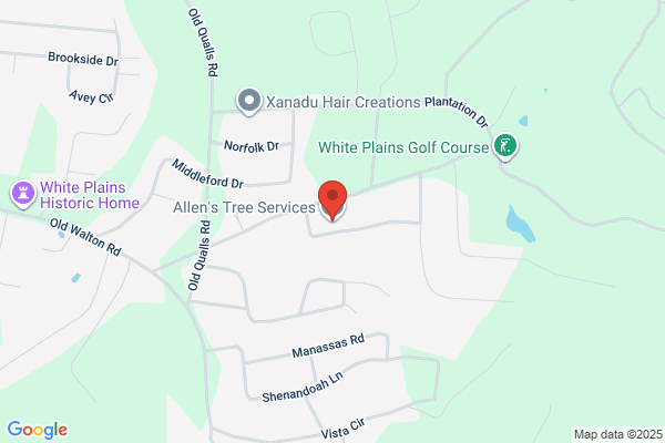 Allen's Tree Service
