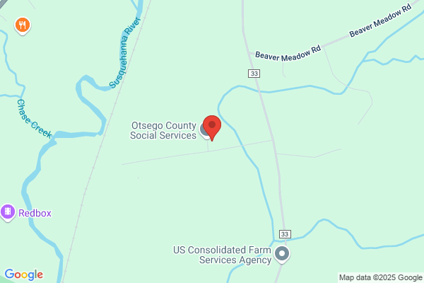 Otsego County of, The Meadows, Agency On Aging