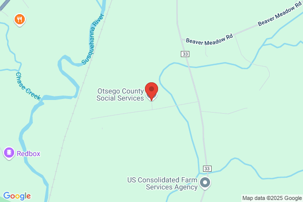 Otsego County of, The Meadows, Board of Elections