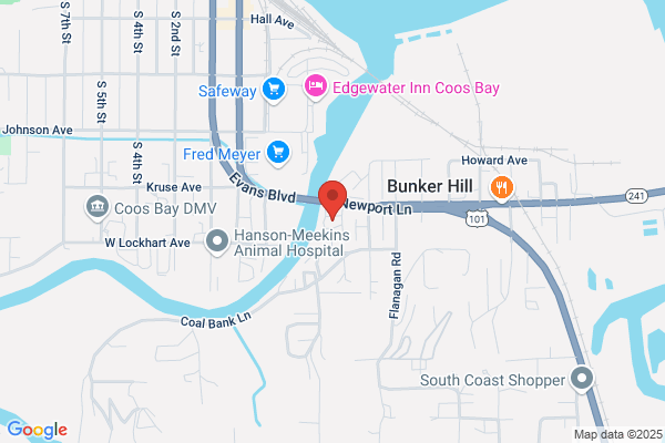 Carquest Auto Parts - Asher Automotive - CLOSED