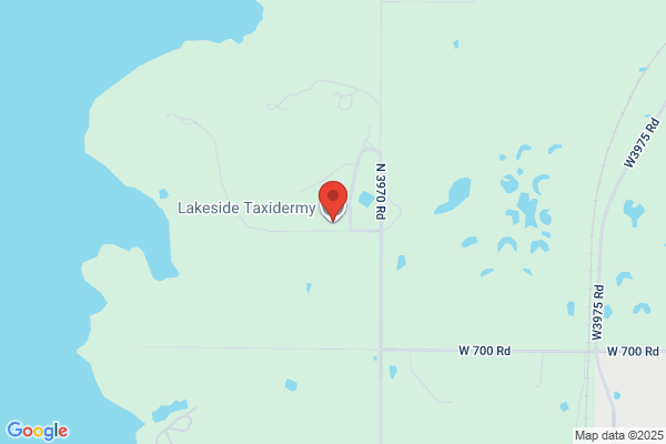 Lakeside Taxidermy