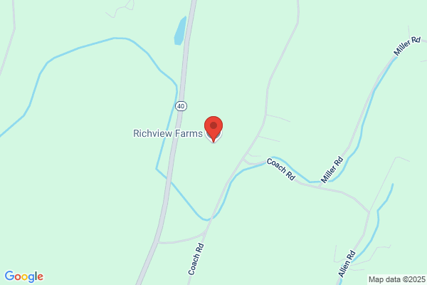 Dairy Rich Farms