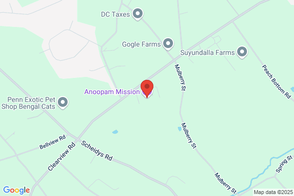 Anoopam Mission Inc