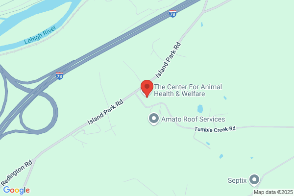 Northampton Boro Animal Shelter